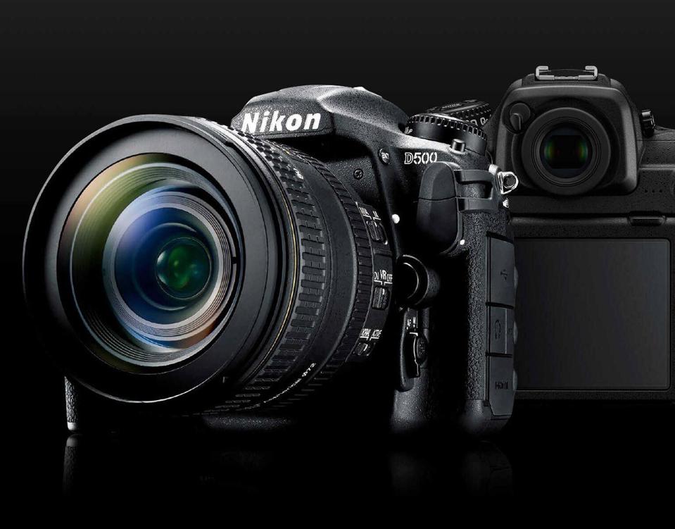 best nikon camera for beginners