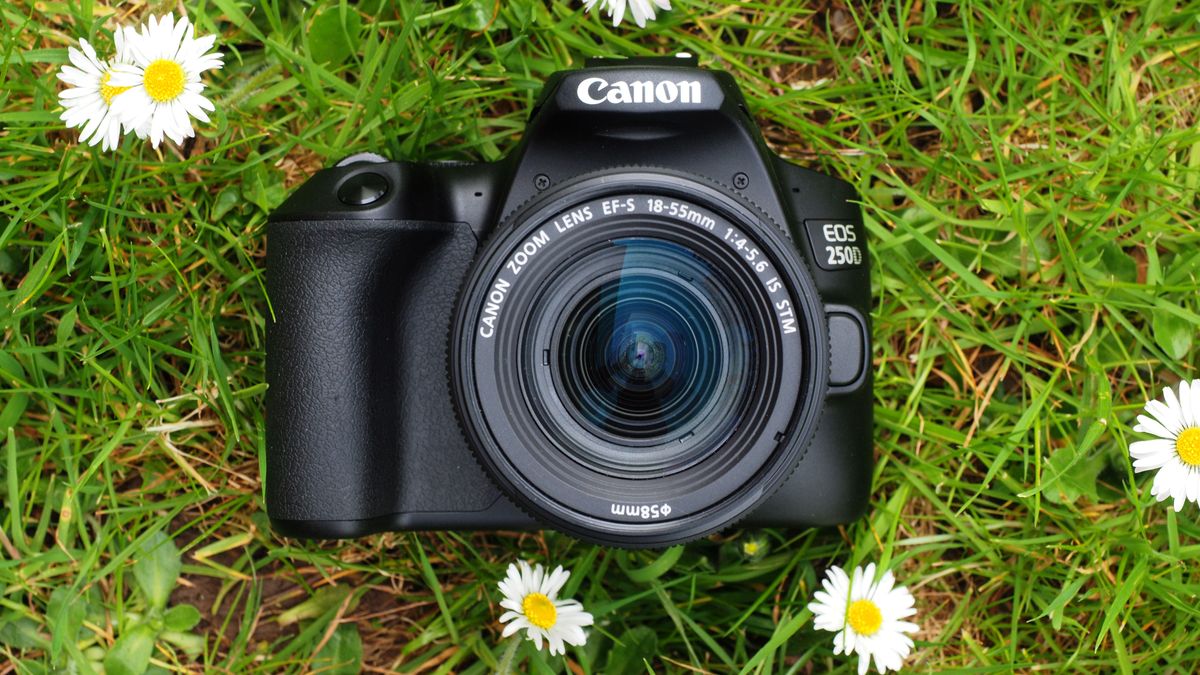 Endless Captures: Choosing the Best Canon Camera Battery插图4