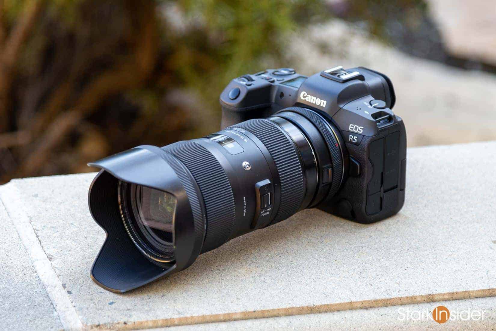 best canon camera for beginners