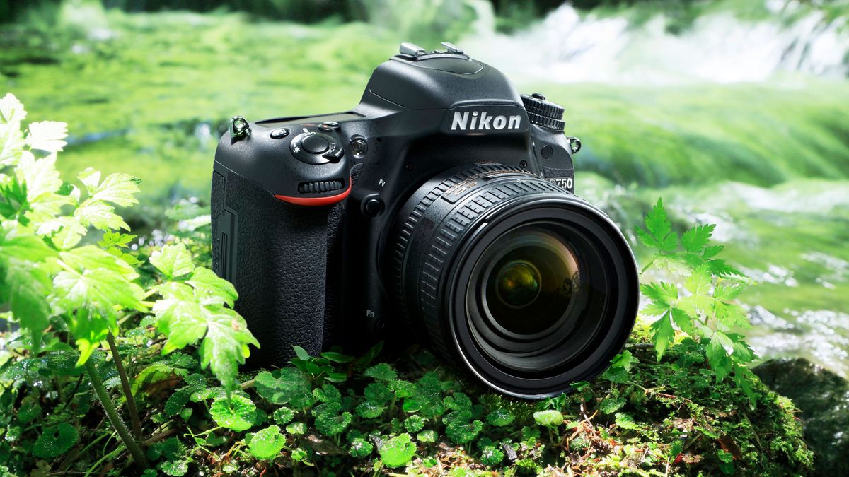 Starting Strong: Best Nikon Cameras for Beginners缩略图