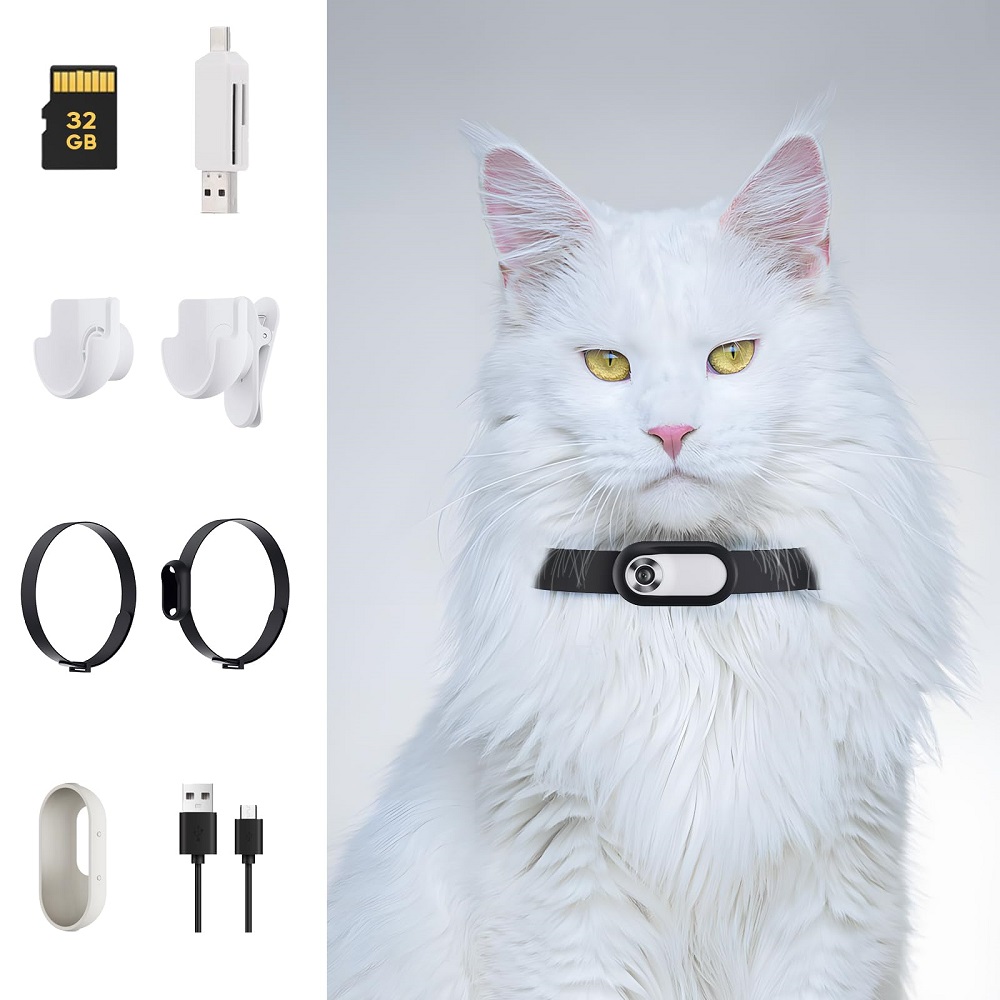 cat camera collar