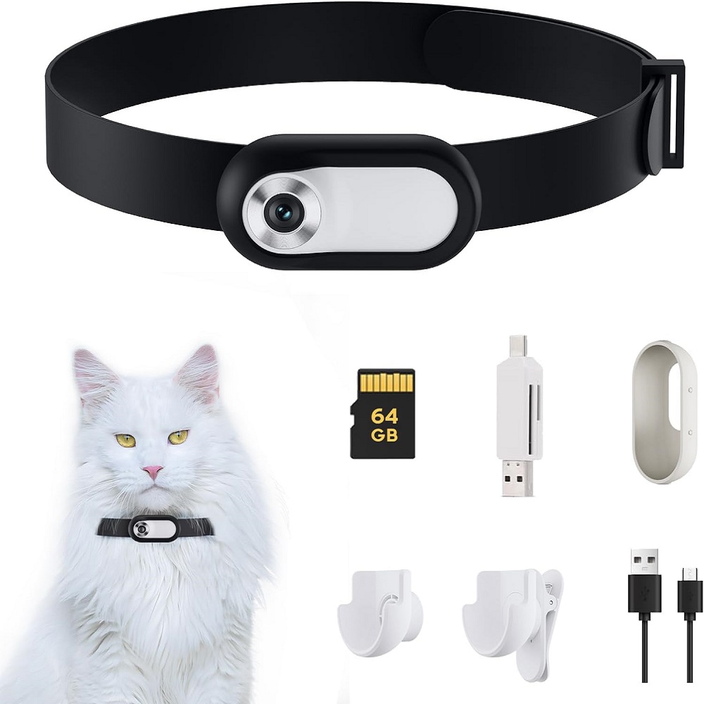 cat camera collar