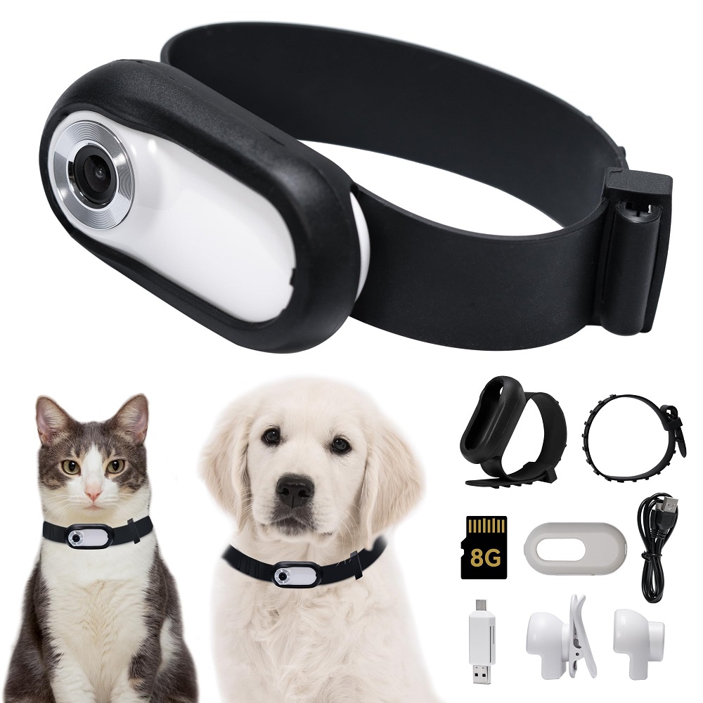 cat camera collar