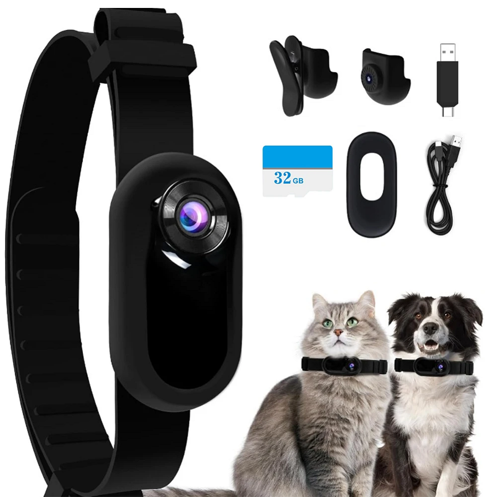 cat camera collar